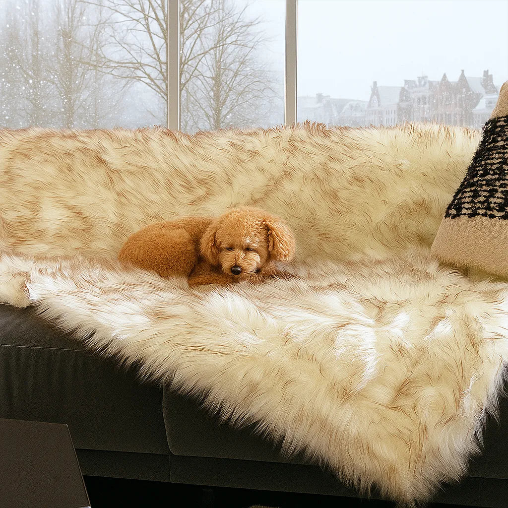 Plüsch Hundedecke &amp; Katzenmatte – Weich, warm &amp; rutschfest für Sofa, Bett &amp; Boden