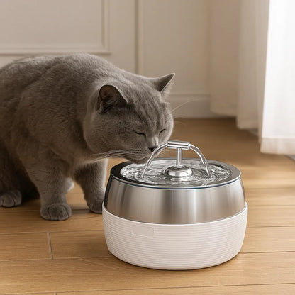 Edelstahl Trinkbrunnen für Katzen &amp; Hunde – Fließendes Wasser