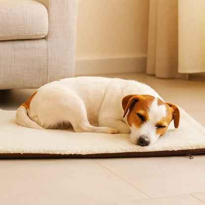 Hundebett selbstwärmend – Kuschelige Wärmematte für Winter