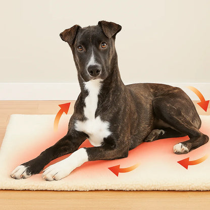 Hundebett selbstwärmend – Kuschelige Wärmematte für Winter