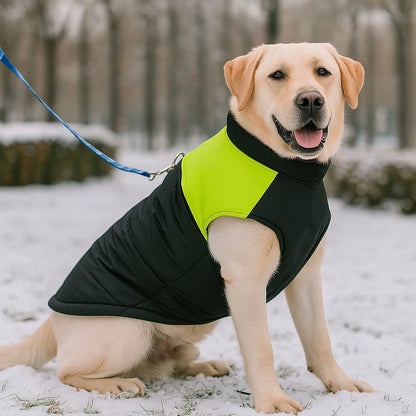 Hundemantel Winter Wasserdicht – Warme Hundejacke &amp; Hundeweste weich