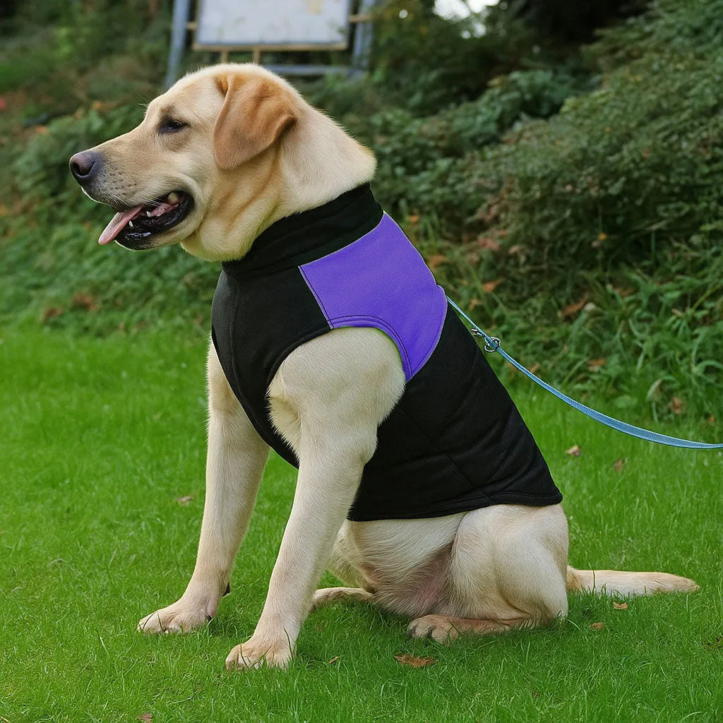 Hundemantel Winter Wasserdicht – Warme Hundejacke &amp; Hundeweste weich