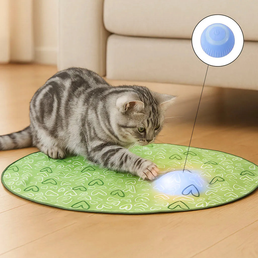 Automatisches Katzenspielzeug mit Sensor – Interaktiv &amp; selbstlaufend