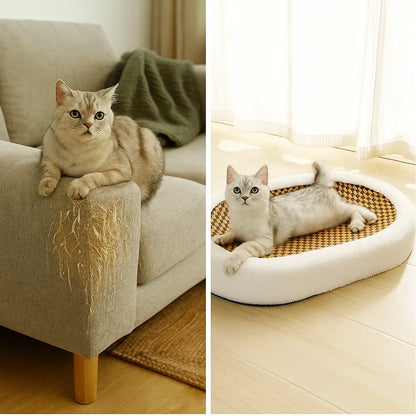 Katzenbett mit Kratzfläche | 2-in-1 Kuschelbett &amp; Kratzmöbel
