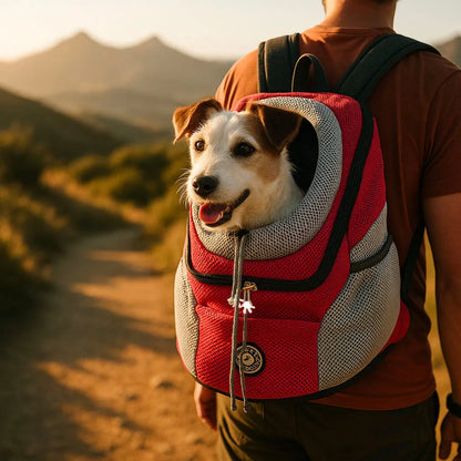 Hunderucksack für Wandern | Transportrucksack Hund klein &amp; groß
