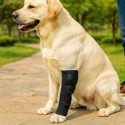 Doppelte Kniebandage für Hunde – Stabilität &amp; Schutz bei Gelenkproblemen