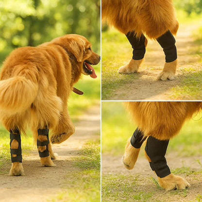 Doppelte Kniebandage für Hunde – Stabilität &amp; Schutz bei Gelenkproblemen
