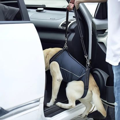 Hundetragehilfe – Hebegurt für ältere &amp; verletzte Hunde