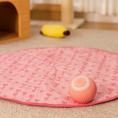 Automatisches Katzenspielzeug mit Sensor – Interaktiv &amp; selbstlaufend