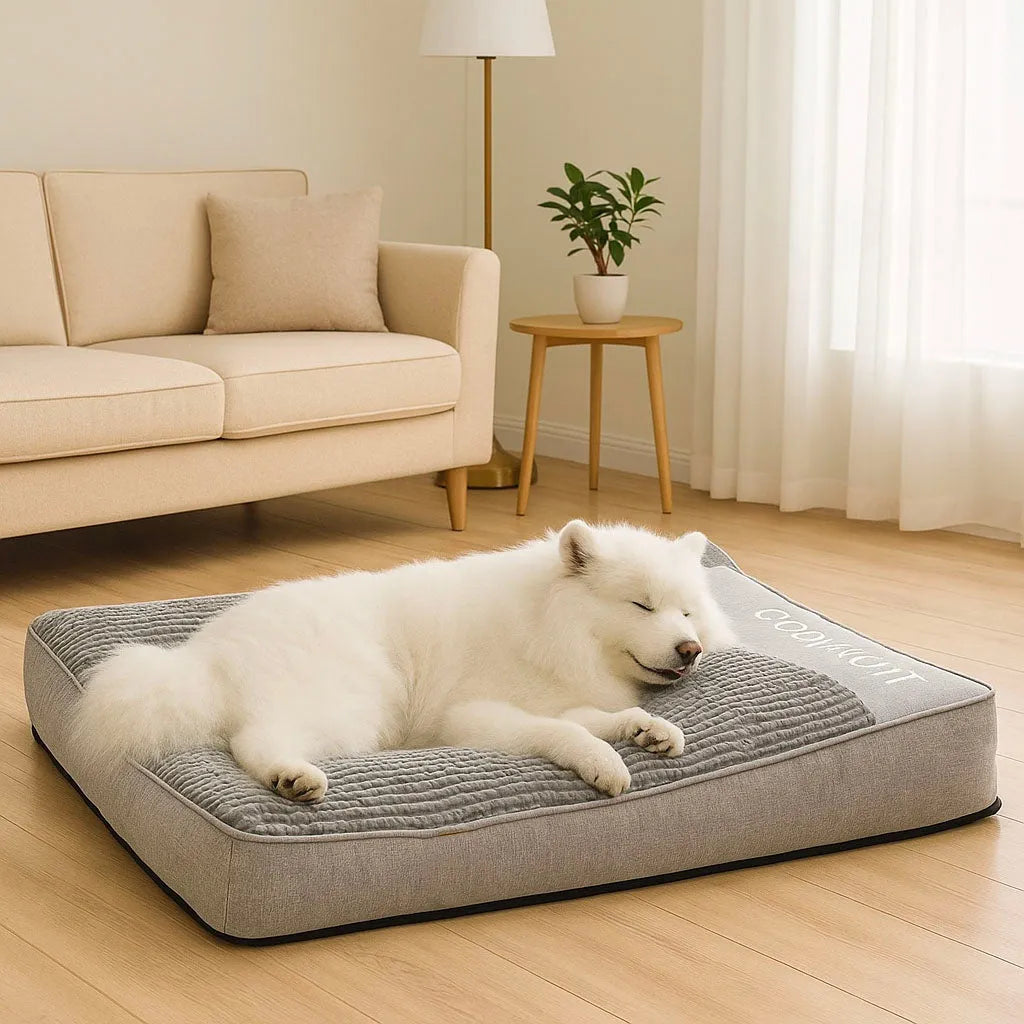 Hundebett mit Rand - Kuscheliges Hundekissen mit erhöhter Kopfstütze