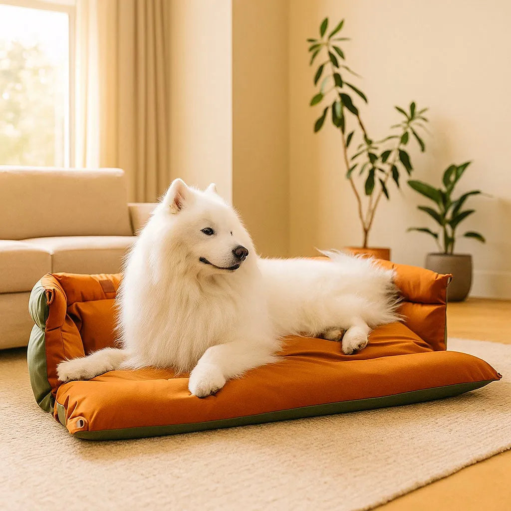 Deluxe Hundereisebett &amp; Autositz – Extra groß für sicheren Transport