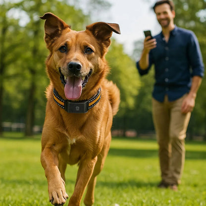 GPS-Tracker mit 4G &amp; App | Ortung für Hunde &amp; Katzen