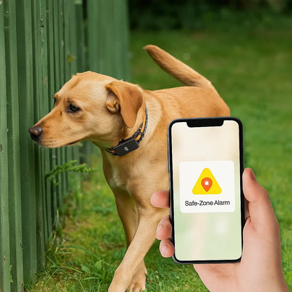 GPS-Tracker mit 4G &amp; App | Ortung für Hunde &amp; Katzen