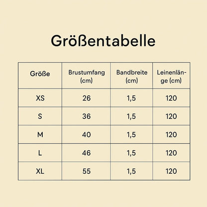 Hundegeschirr mit Leine | Atmungsaktiv, verstellbar &amp; reflektierend