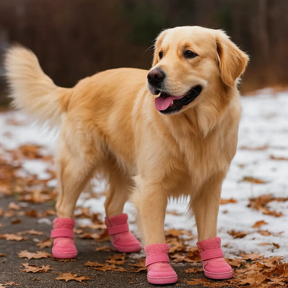 Hundeschuhe Pfotenschutz | Allwetter Schutz gegen Hitze &amp; Kälte
