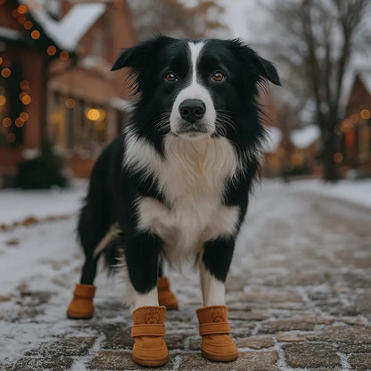 Hundeschuhe Pfotenschutz | Allwetter Schutz gegen Hitze &amp; Kälte