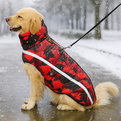 Hundejacke Winter | Wasserdicht, warm &amp; reflektierend mit Bauchschutz