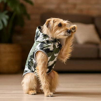 Hundejacke Winter | Wasserdicht, warm &amp; reflektierend mit Bauchschutz