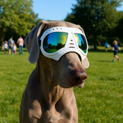 Hundeschutzbrille – Winddicht &amp; mit UV-Schutz für kleine und mittelgroße Hunde