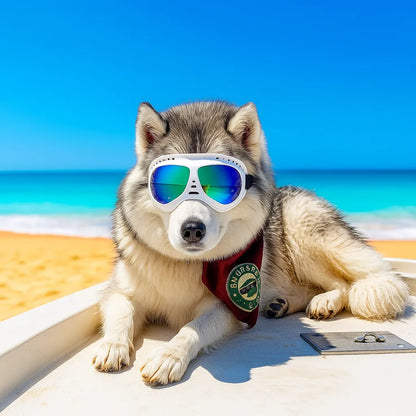 Hundeschutzbrille – Winddicht &amp; mit UV-Schutz für kleine und mittelgroße Hunde