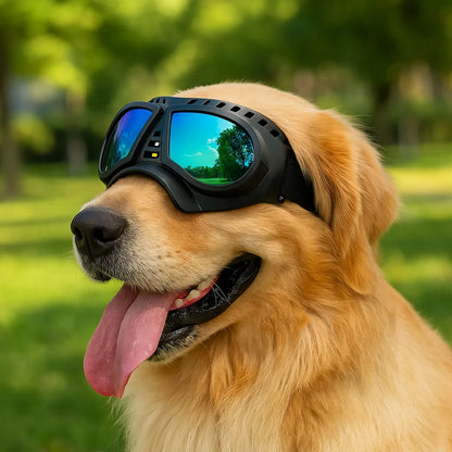 Hundeschutzbrille – Winddicht &amp; mit UV-Schutz für kleine und mittelgroße Hunde