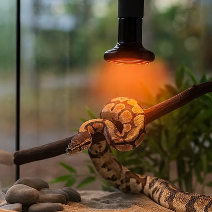Dunkelstrahler Reptilien – Keramik-Heizlampe E27 (25W-100W)