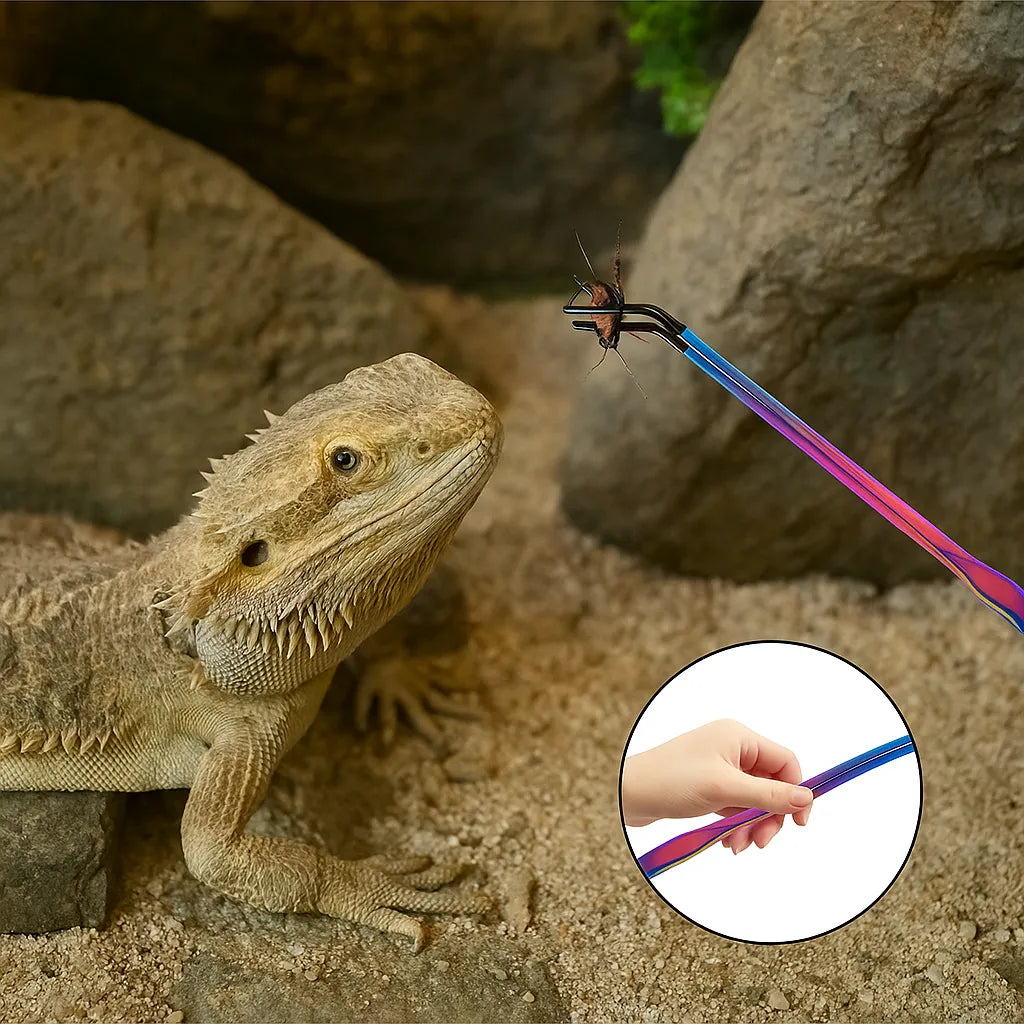 Futterpinzette Reptilien | Edelstahl Futterzange 4er-Set