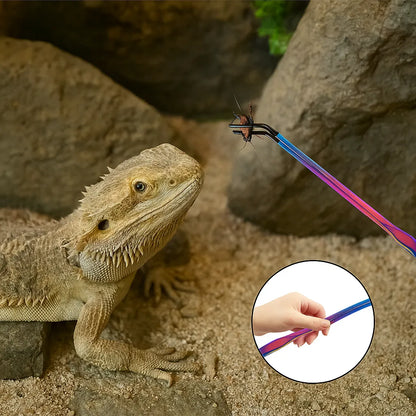 Futterpinzette Reptilien | Edelstahl Futterzange 4er-Set