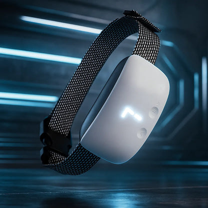 Antibellhalsband Hund | Vibration &amp; Ton | Wasserdicht mit Akku