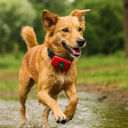 Halsband Hund – Erziehung &amp; Anti-Bell Training mit Ton, Vibration &amp; Impuls