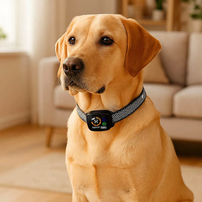 Antibellhalsband | Ohne Stromschlag mit Vibration &amp; Ton