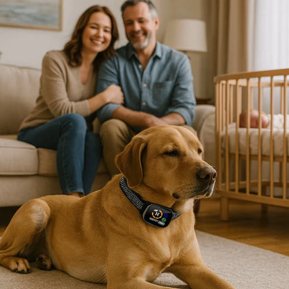 Antibellhalsband | Ohne Stromschlag mit Vibration &amp; Ton