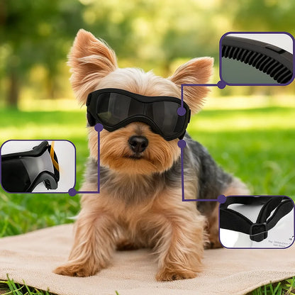 Schutzbrille für Hunde mit UV-Schutz – Gegen Sonne, Wind &amp; Staub