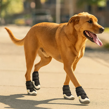 Hundeschuhe rutschfest | Pfotenschutz, wasserdicht &amp; atmungsaktiv