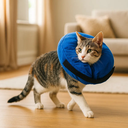 Aufblasbarer Schutzkragen für Katzen | Weich &amp; verstellbar