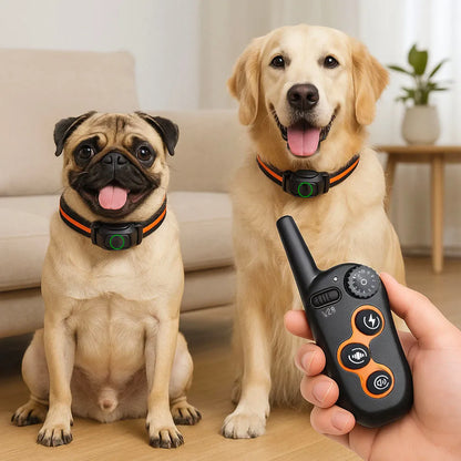 Antibellhalsband – Ton, Vibration &amp; sichere Korrektur