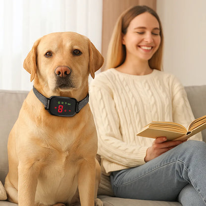 Antibellhalsband mit Ton &amp; Vibration – Sanftes, automatisches Halsband gegen Bellen