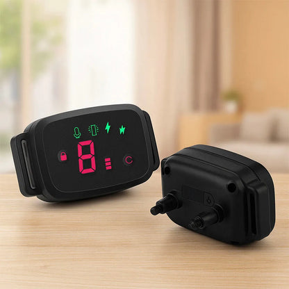 Antibellhalsband mit Ton &amp; Vibration – Sanftes, automatisches Halsband gegen Bellen