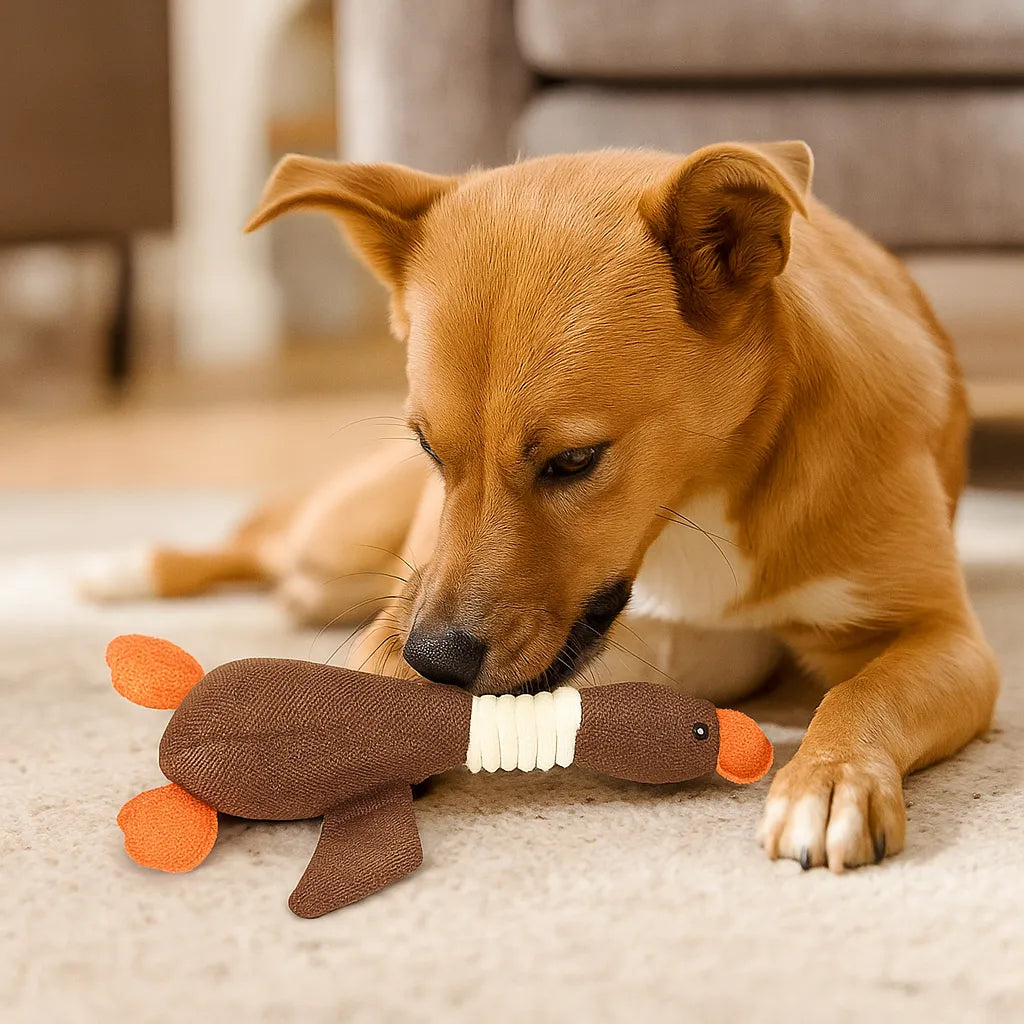 Kaufestes Hundespielzeug | Robust &amp; sicher für Zahnpflege