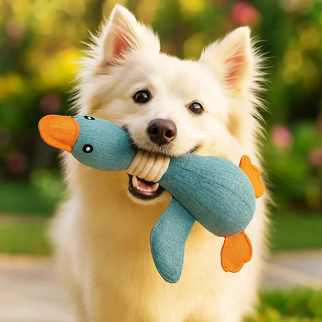 Kaufestes Hundespielzeug | Robust &amp; sicher für Zahnpflege