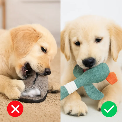 Kaufestes Hundespielzeug | Robust &amp; sicher für Zahnpflege
