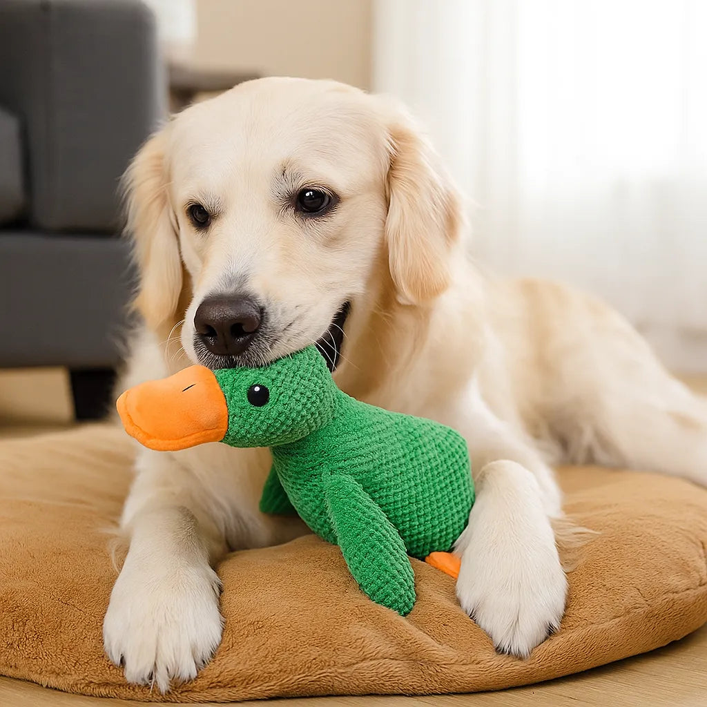 Hundespielzeug Ente mit Sound | Interaktiv &amp; robust