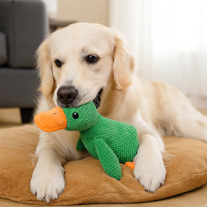 Hundespielzeug Ente mit Sound | Interaktiv &amp; robust