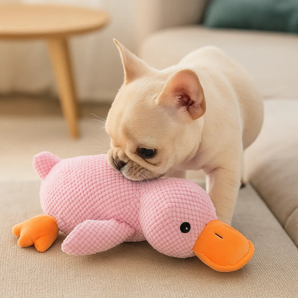 Hundespielzeug Ente mit Sound | Interaktiv &amp; robust