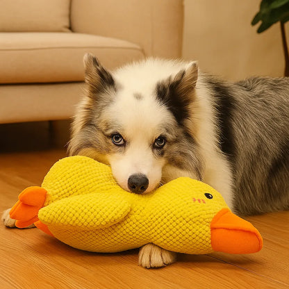 Hundespielzeug Ente mit Sound | Interaktiv &amp; robust