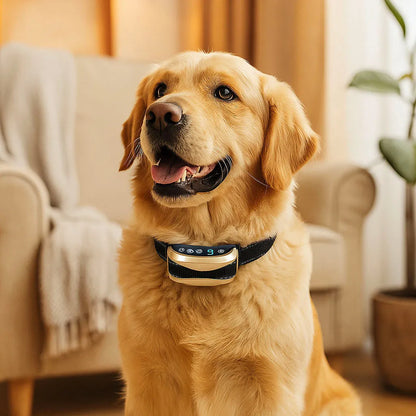 AntiBell Halsband Hund | Ton, Vibration | Wasserdicht &amp; Akku