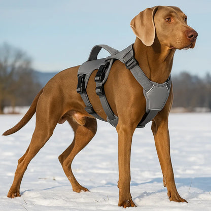 Hundegeschirr gegen Ziehen | Reflektierend &amp; sicher mit Griff