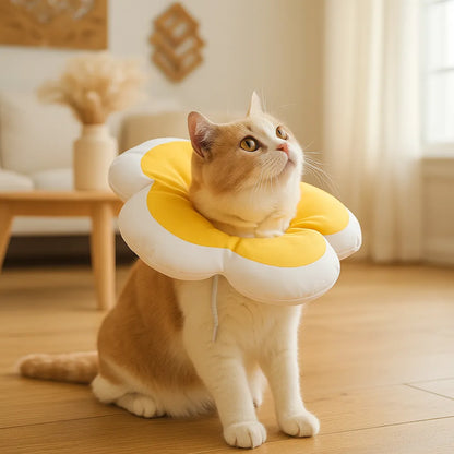 Halskrause weich | Leckschutz &amp; Wundschutz nach OP