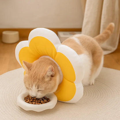 Halskrause weich | Leckschutz &amp; Wundschutz nach OP