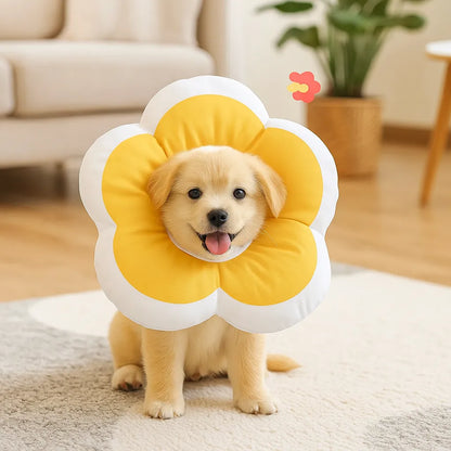 Halskrause weich | Leckschutz &amp; Wundschutz nach OP